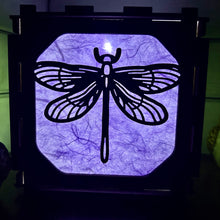 Load image into Gallery viewer, Dragonfly light box
