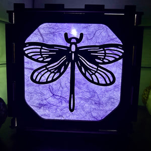 Dragonfly light box