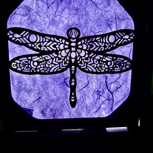 Dragonfly light box